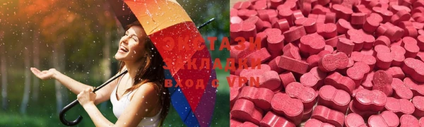 индика Михайловск