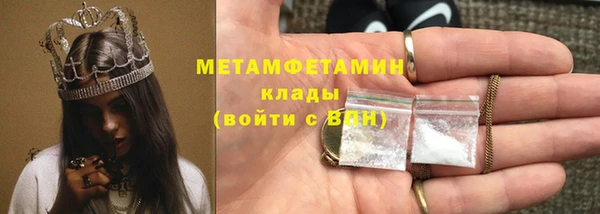 индика Михайловск