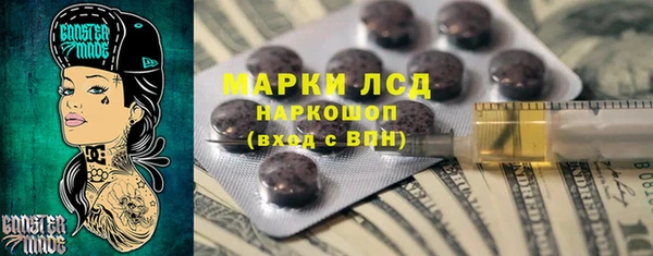 индика Михайловск