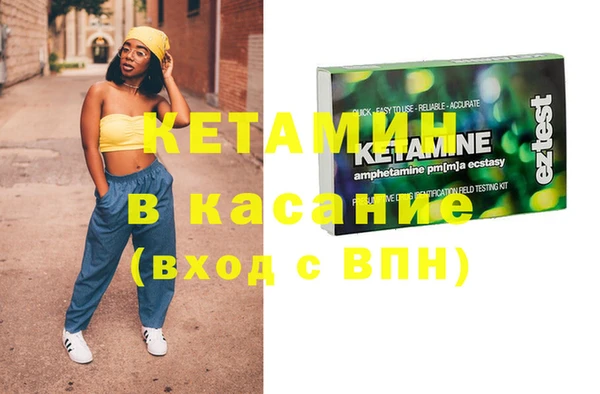индика Михайловск