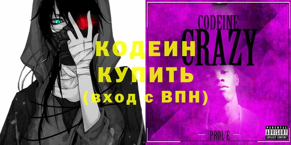 индика Михайловск