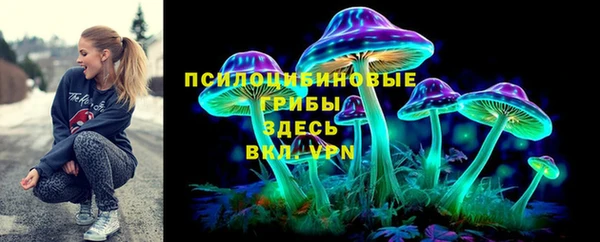 мдпв Наволоки