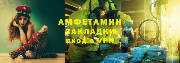 индика Михайловск