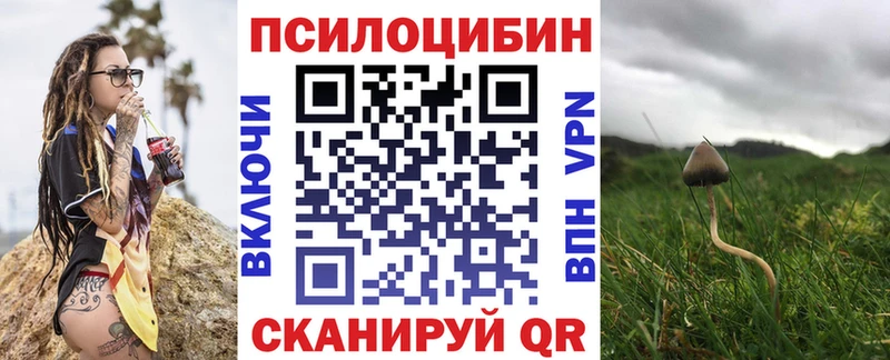 Псилоцибиновые грибы Cubensis  Нижние Серги 